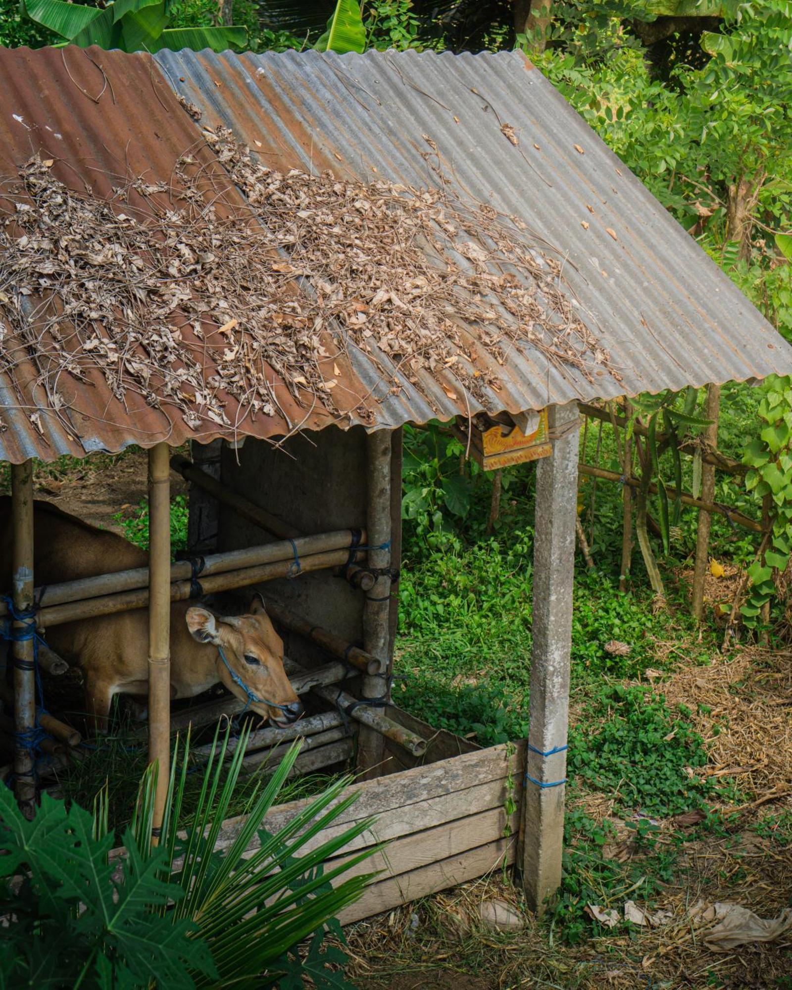 Tannari Apartamento Ubud